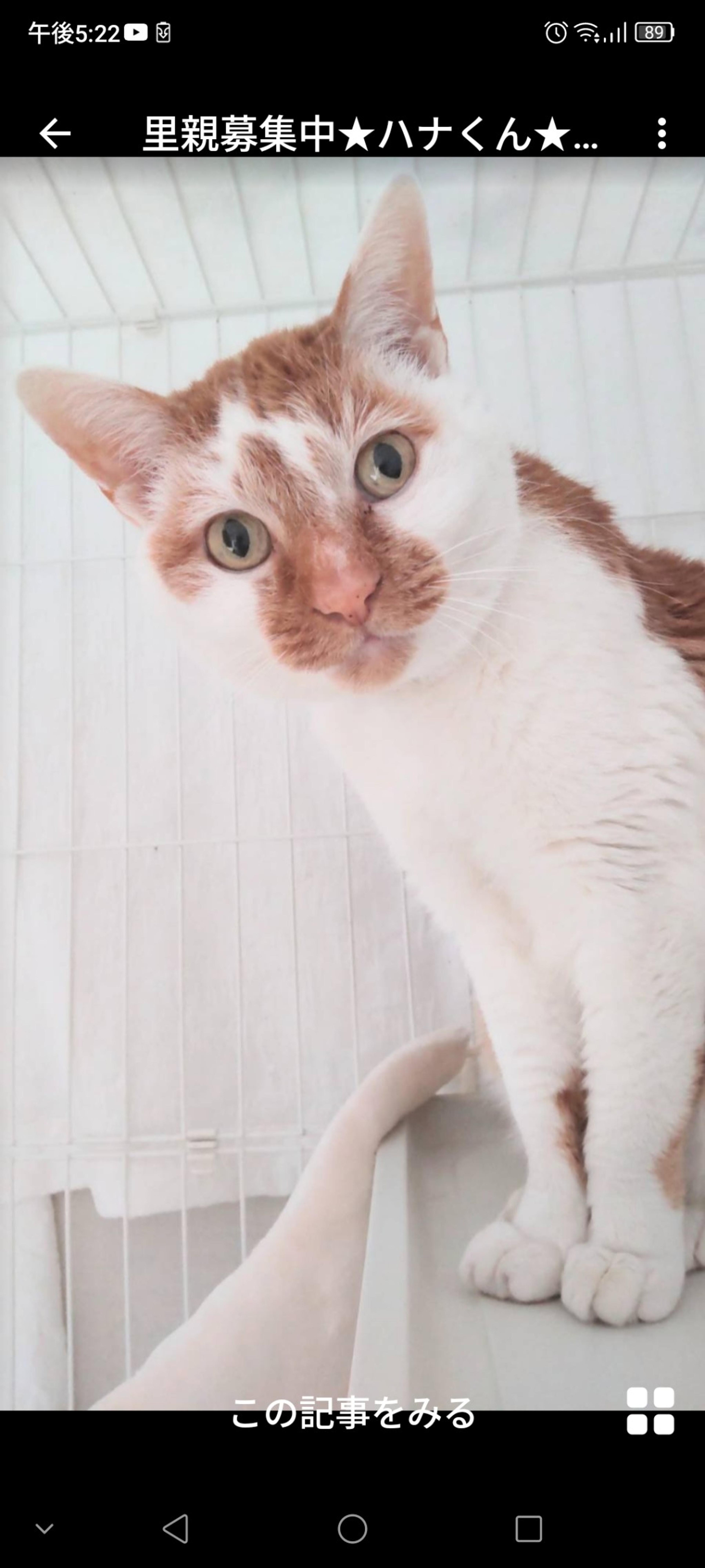 pet-image-2
