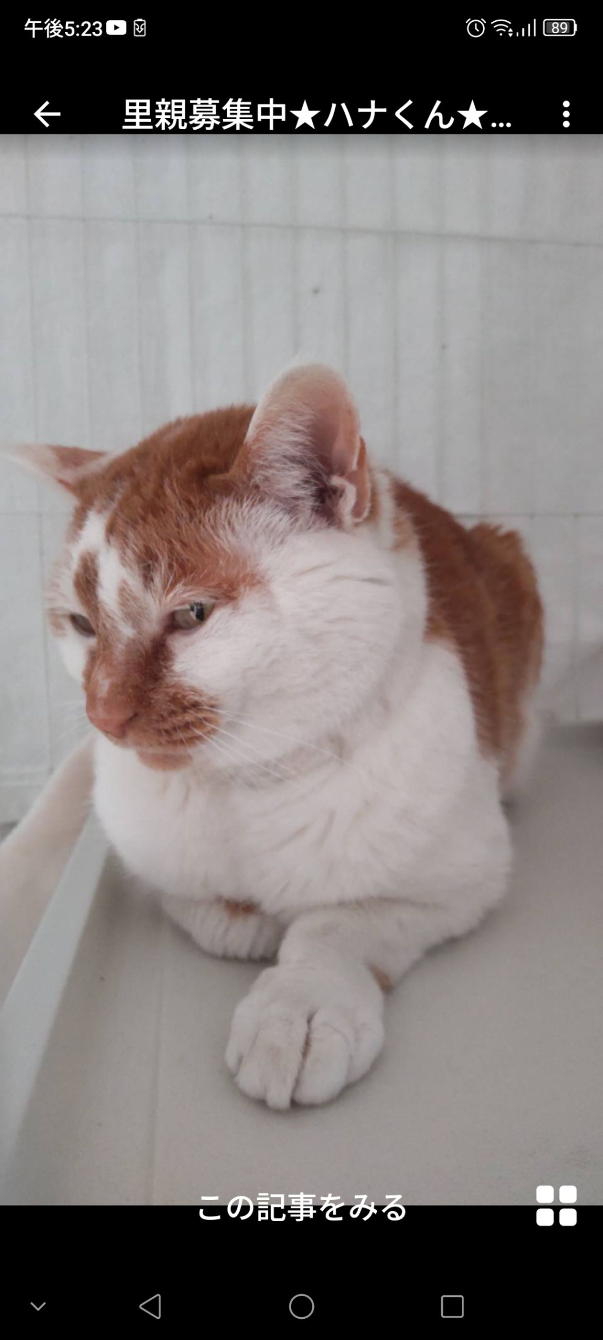 thumbnail-3