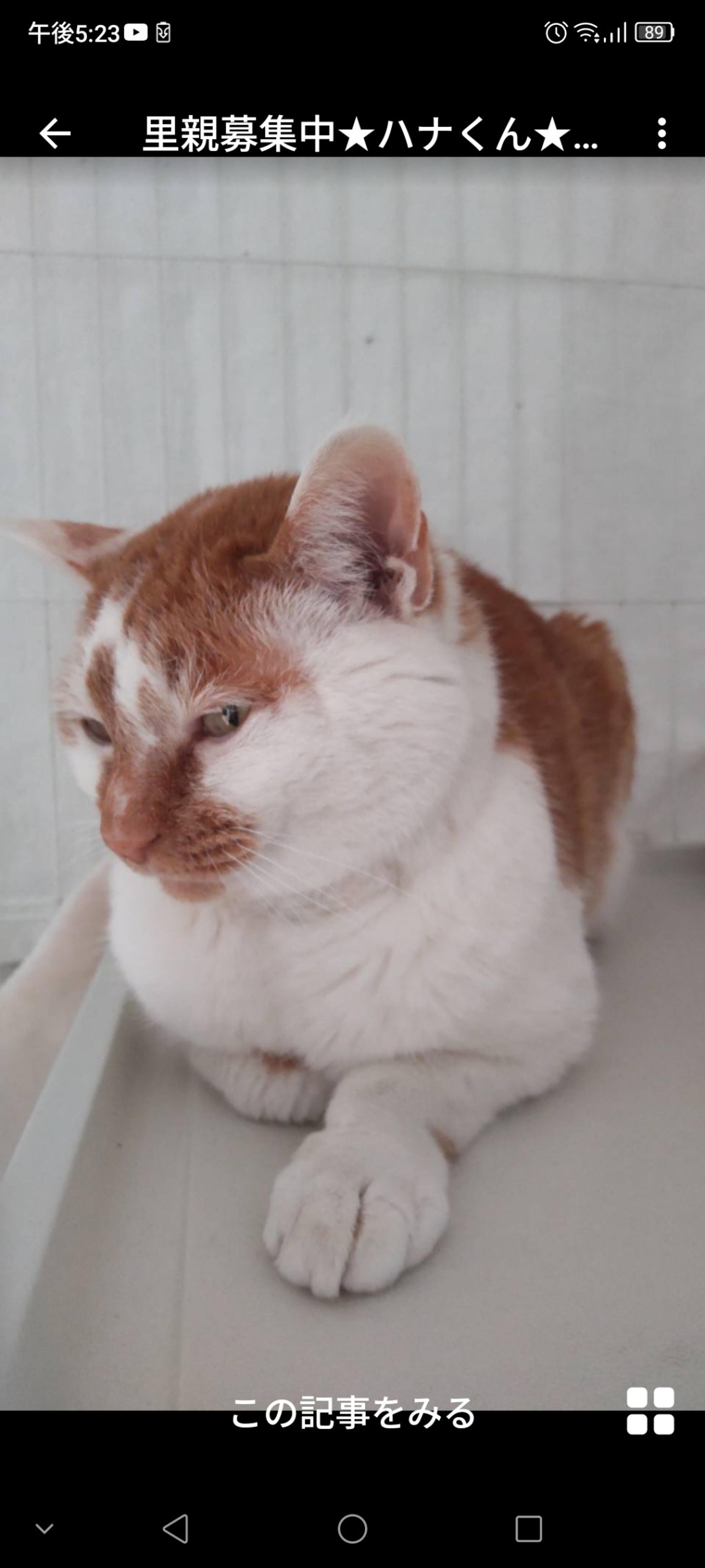 pet-image-3