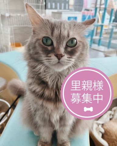 ラフィキ