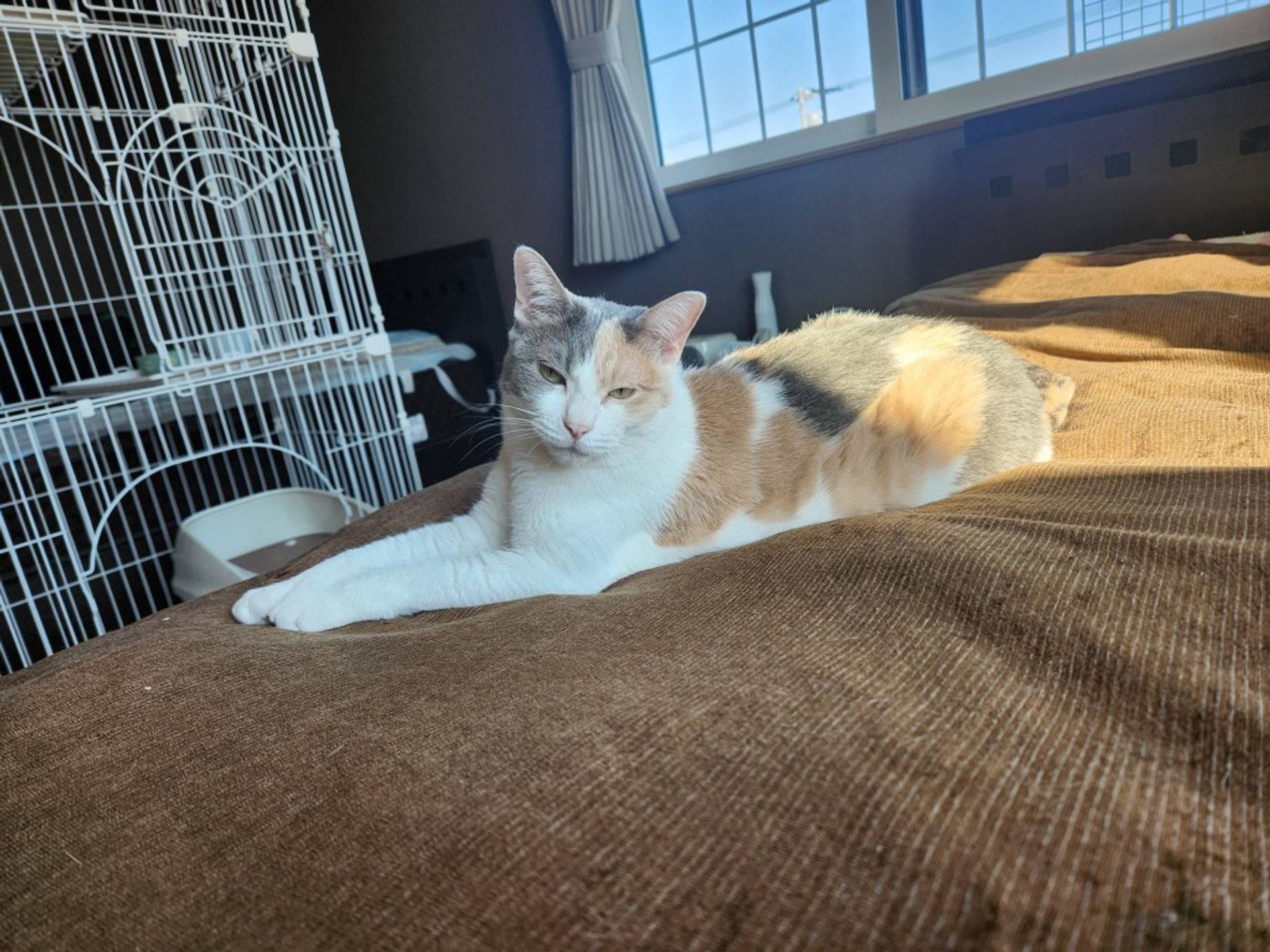 thumbnail-3