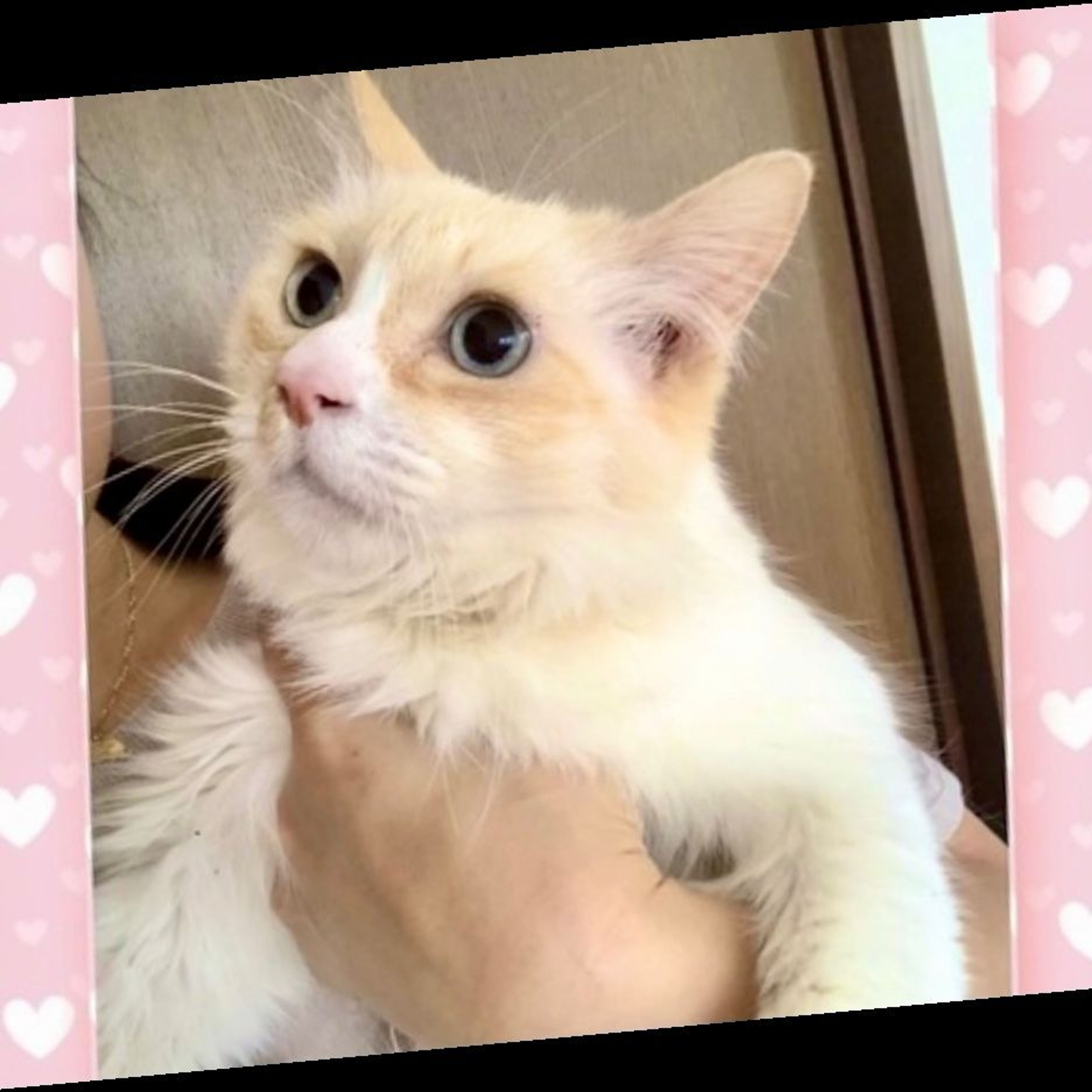thumbnail-8