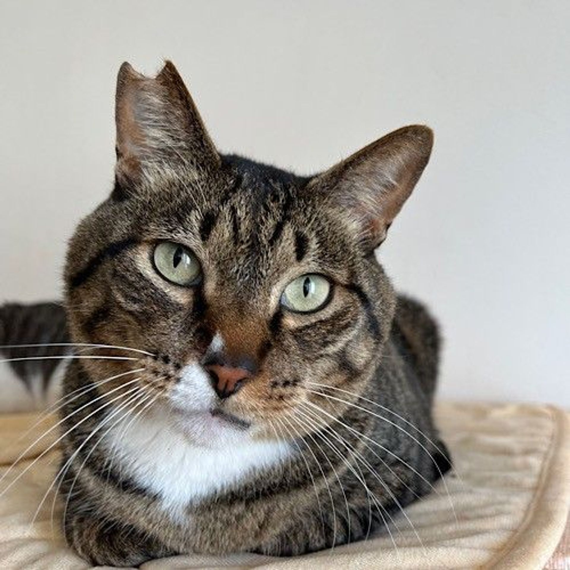 thumbnail-6