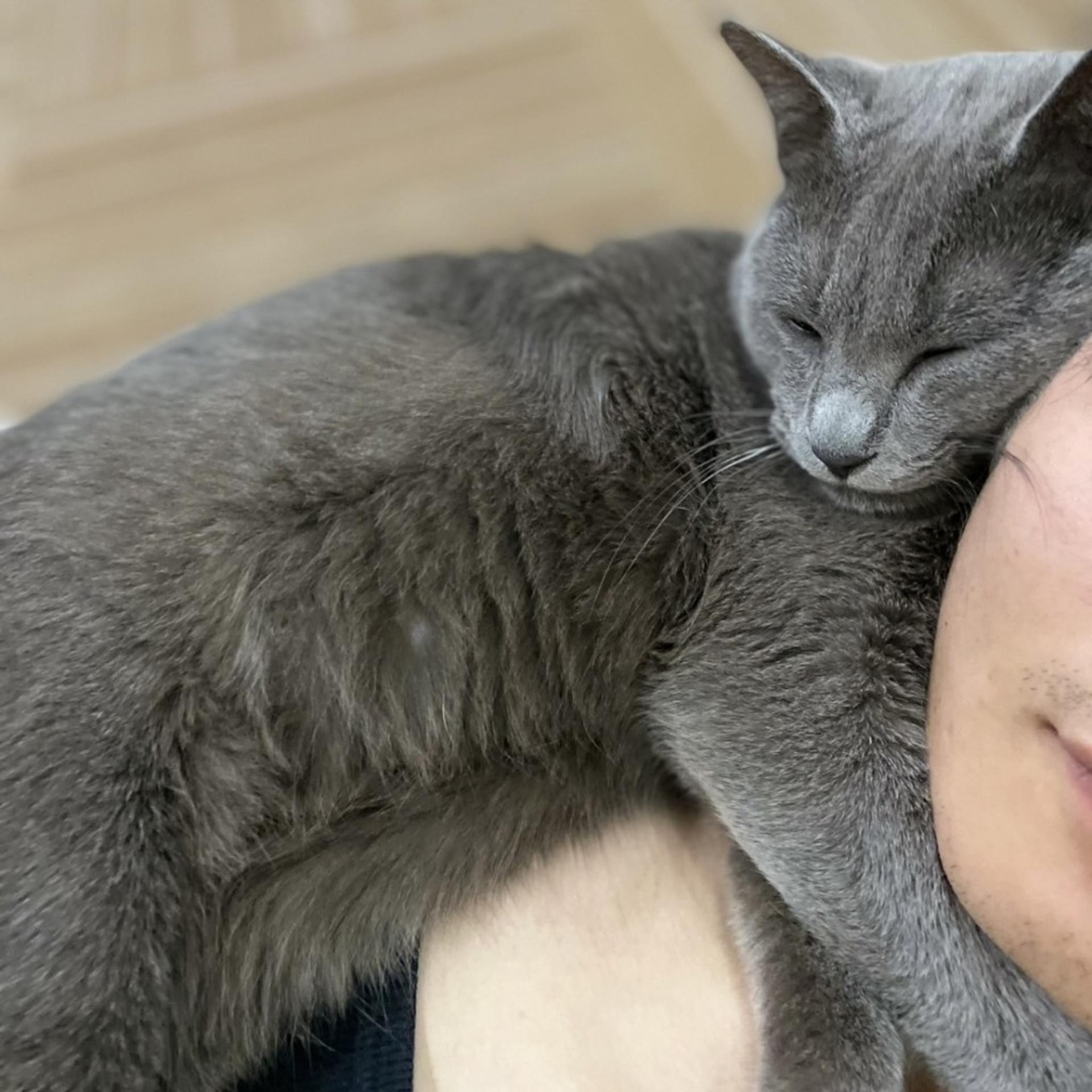 pet-image-5