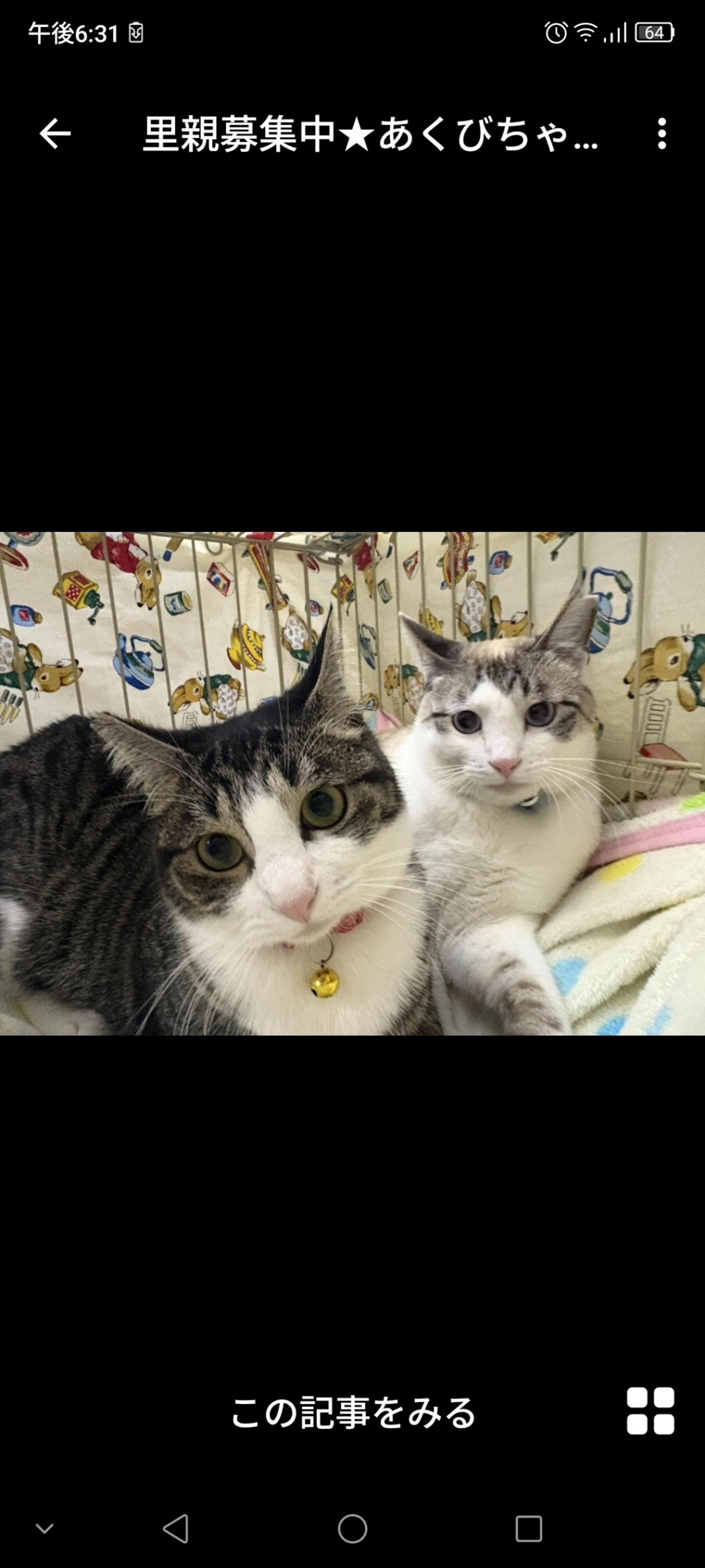 pet-image-3