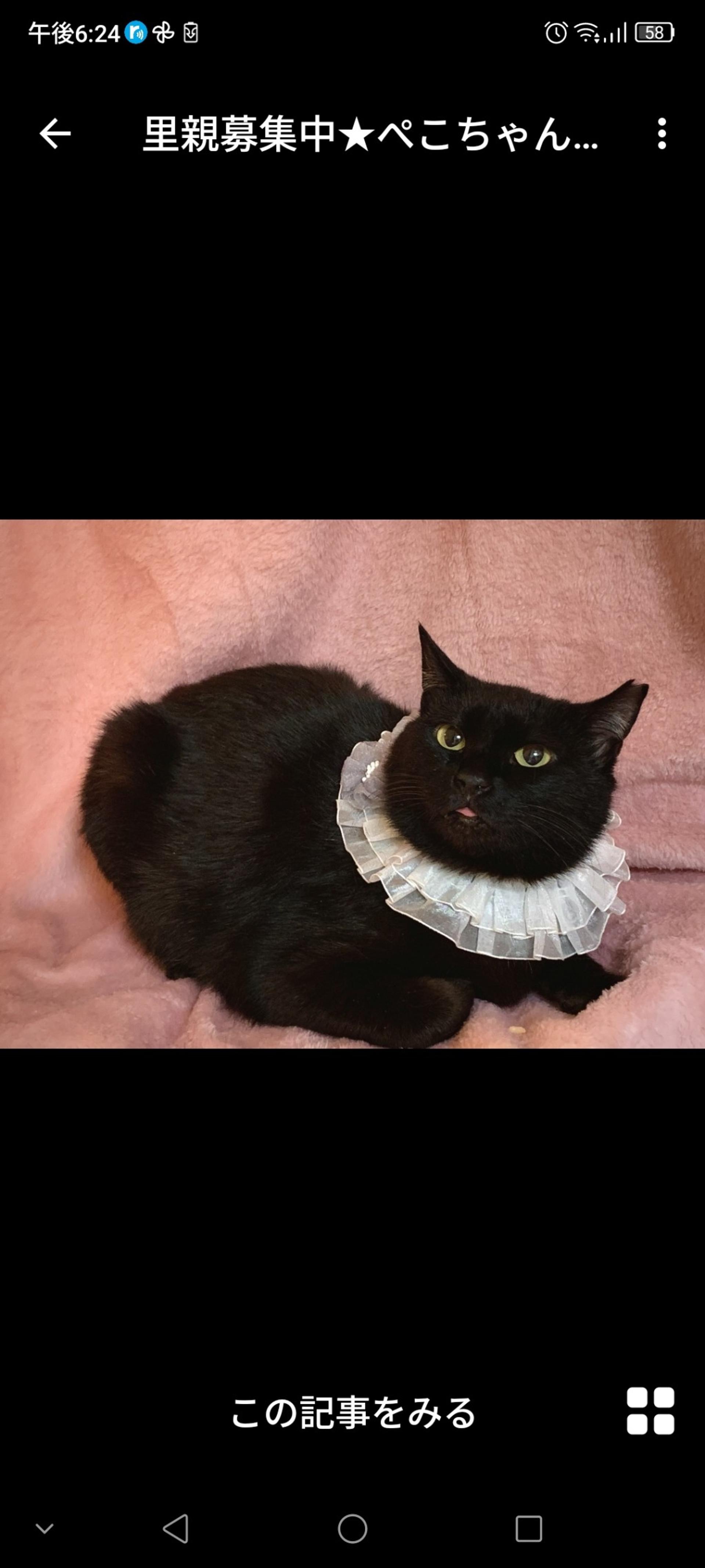 pet-image-2