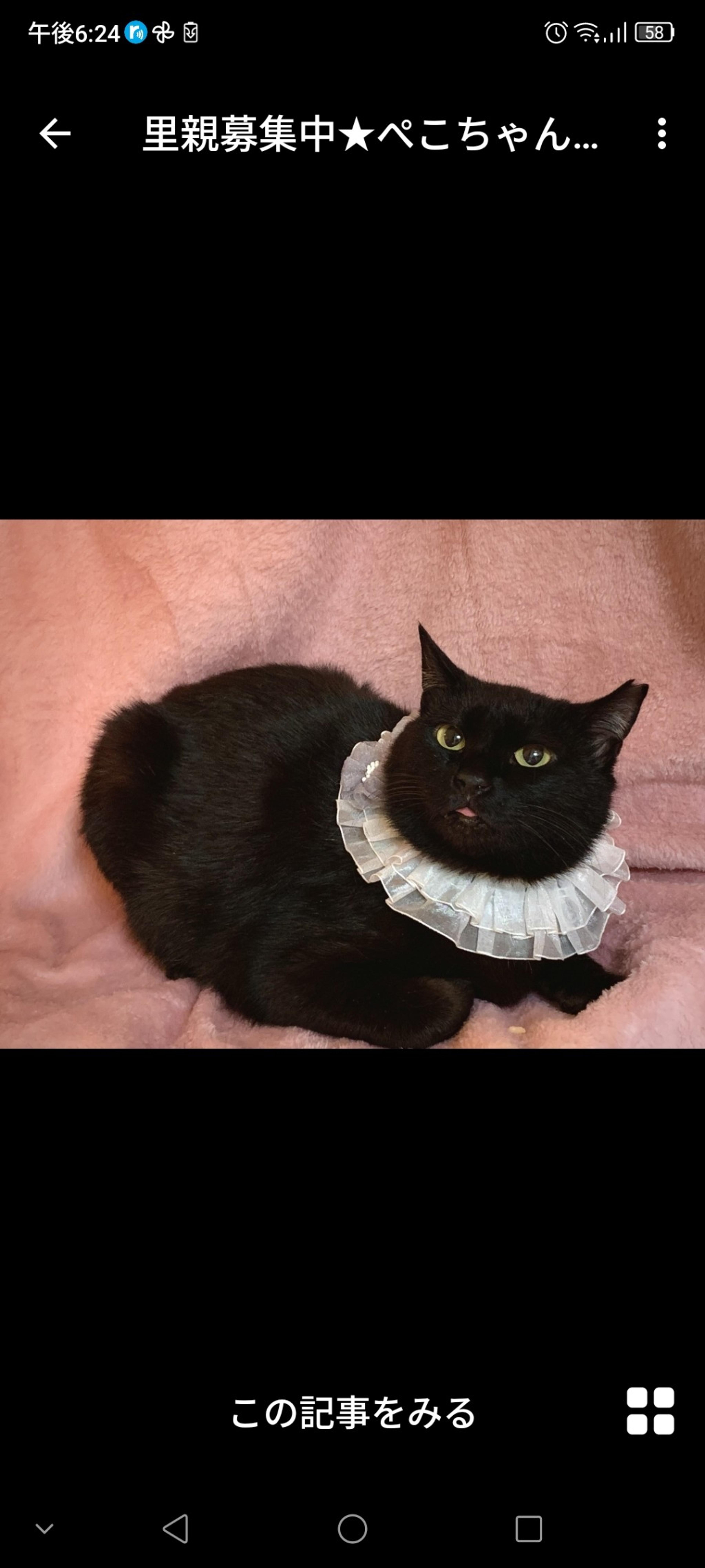 pet-image-2