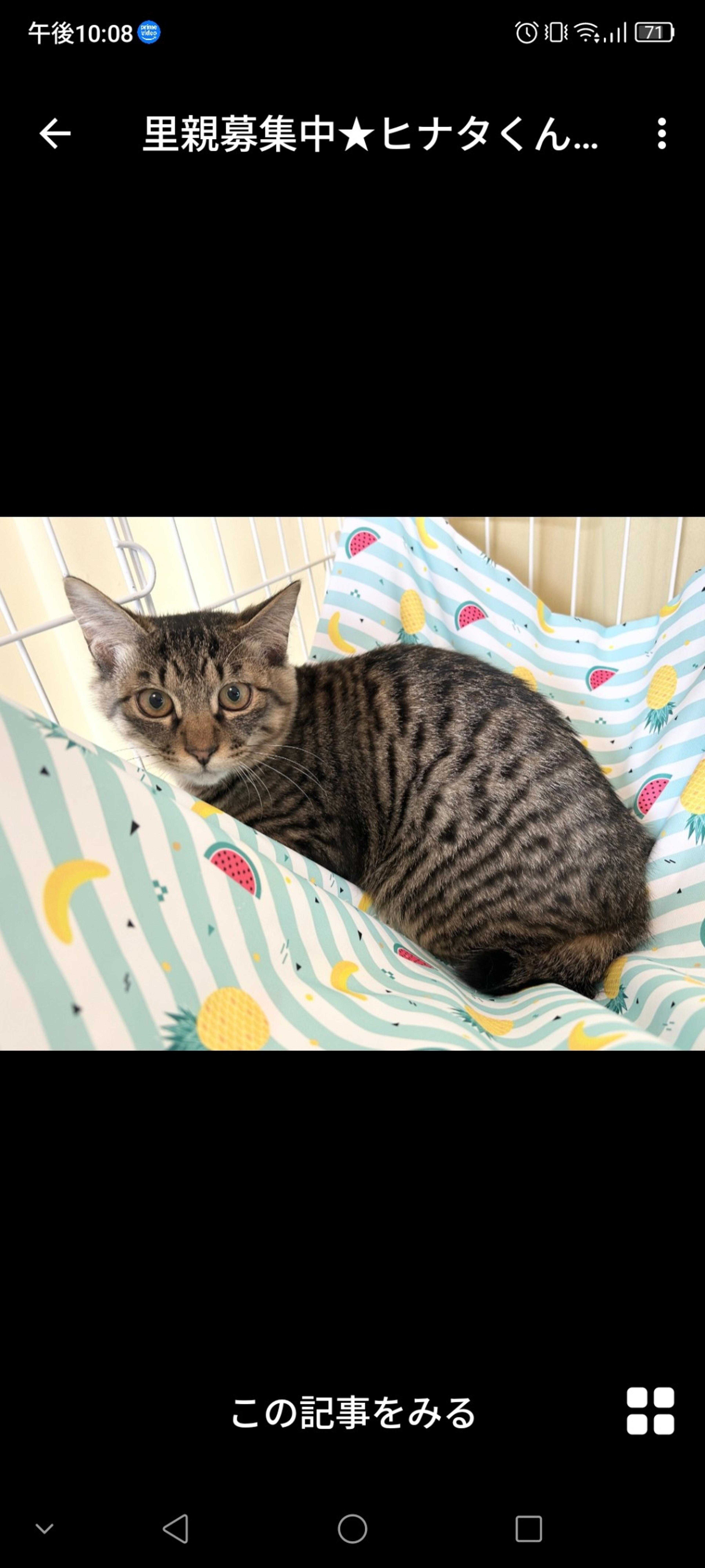 pet-image-2