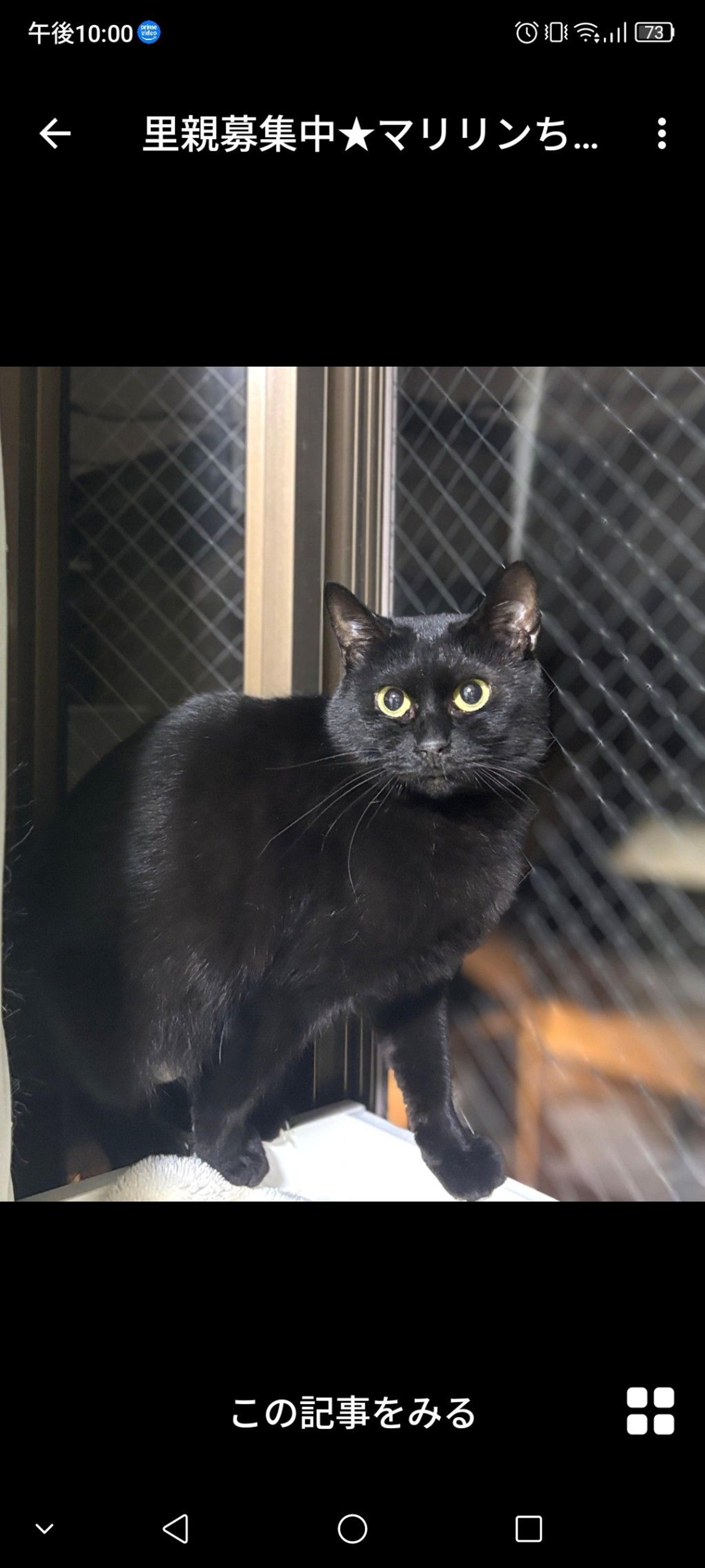 pet-image-3