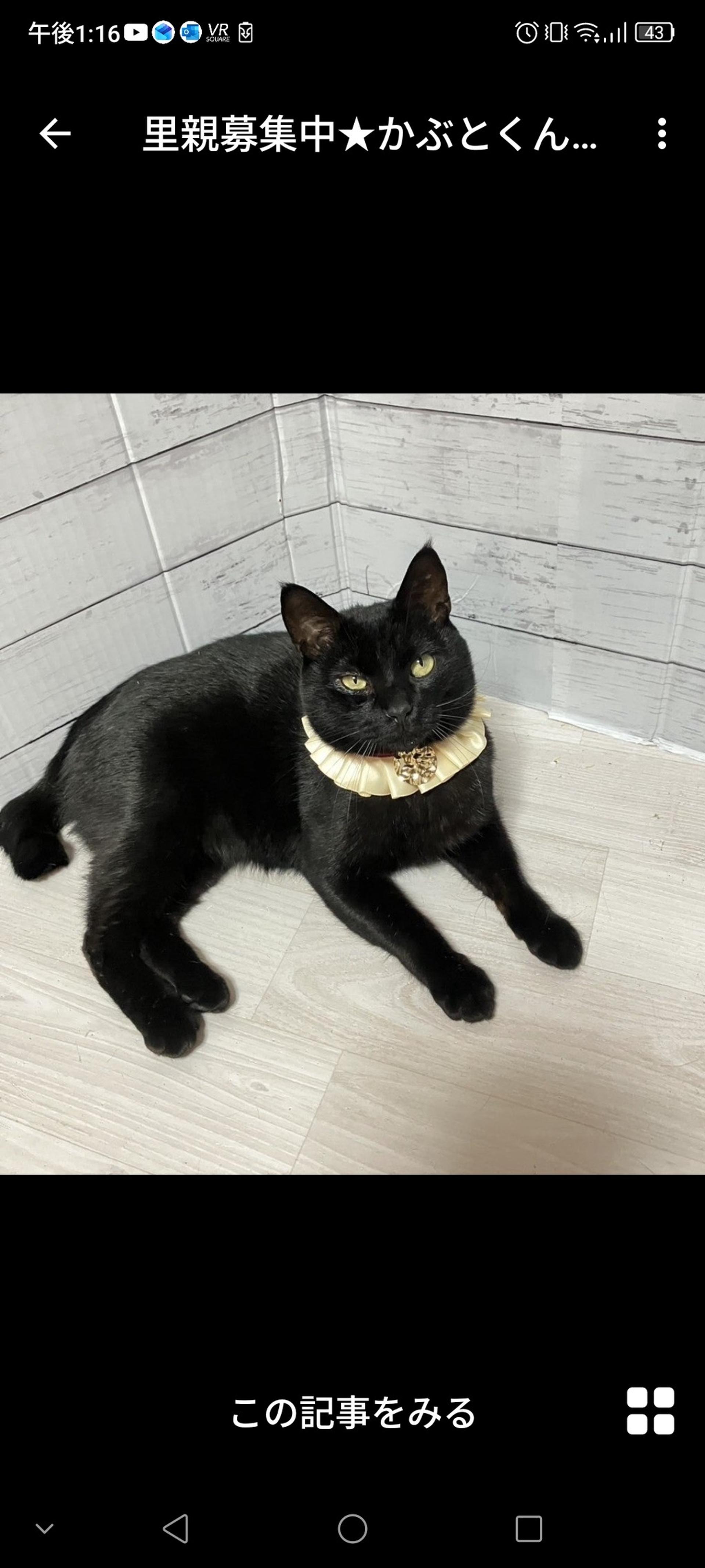 pet-image-2