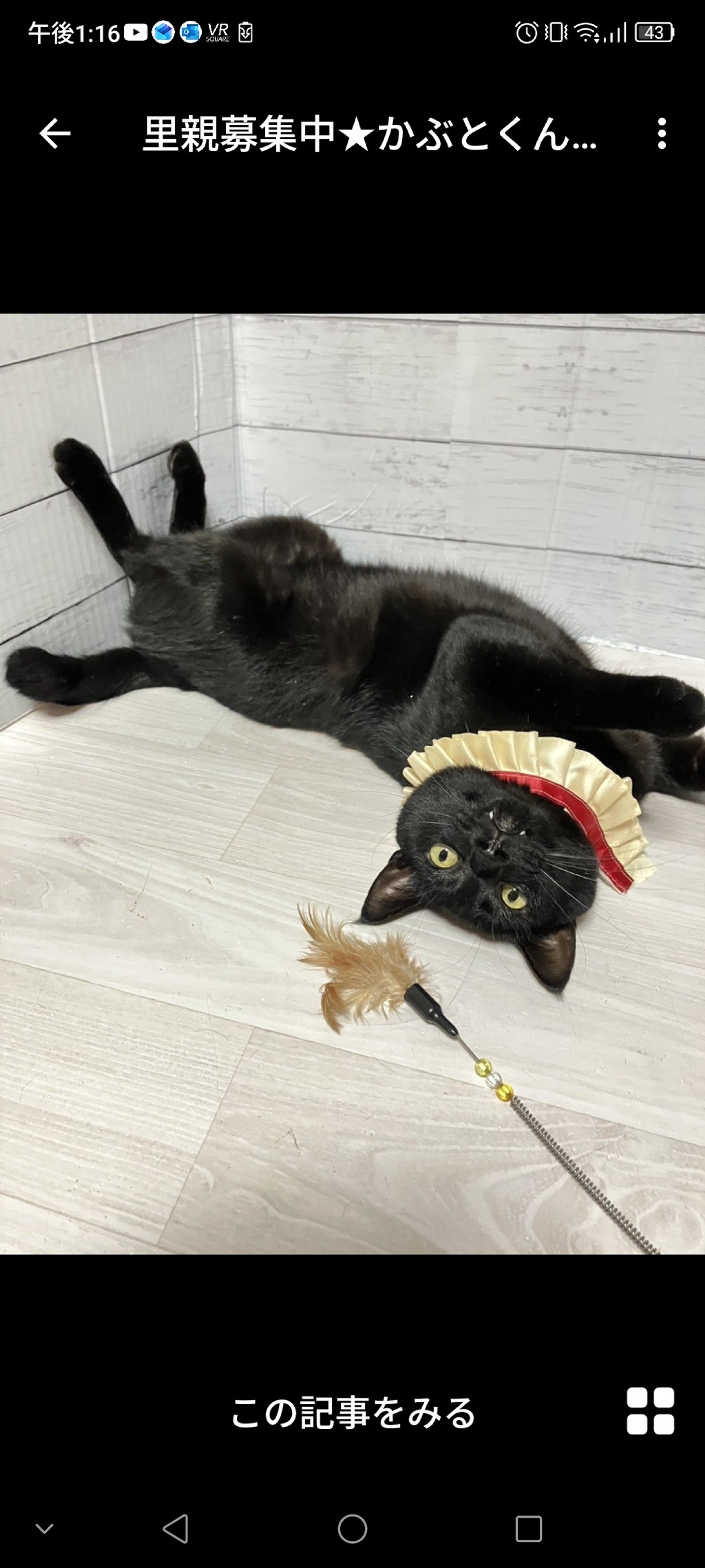 pet-image-3