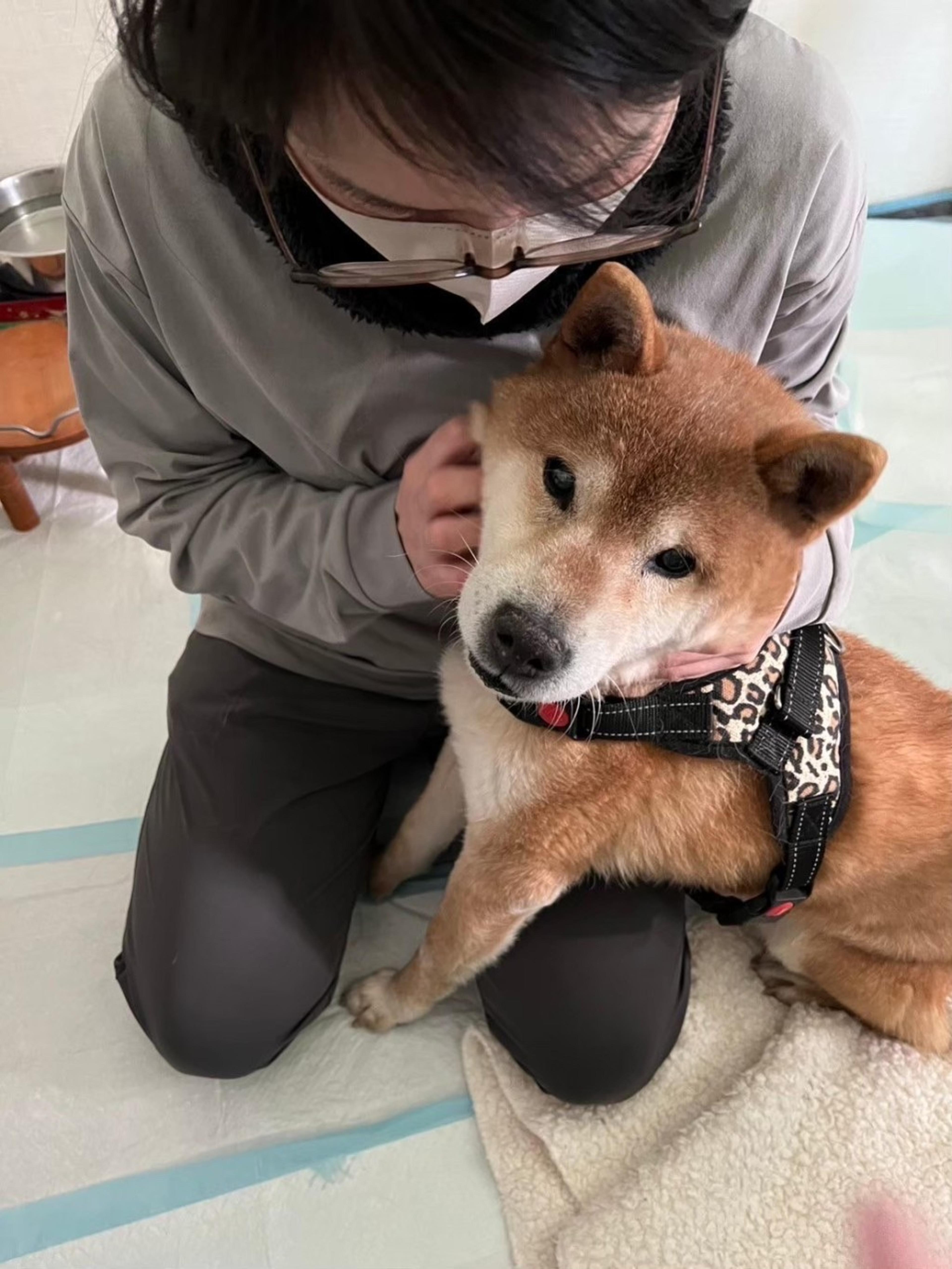 pet-image-5