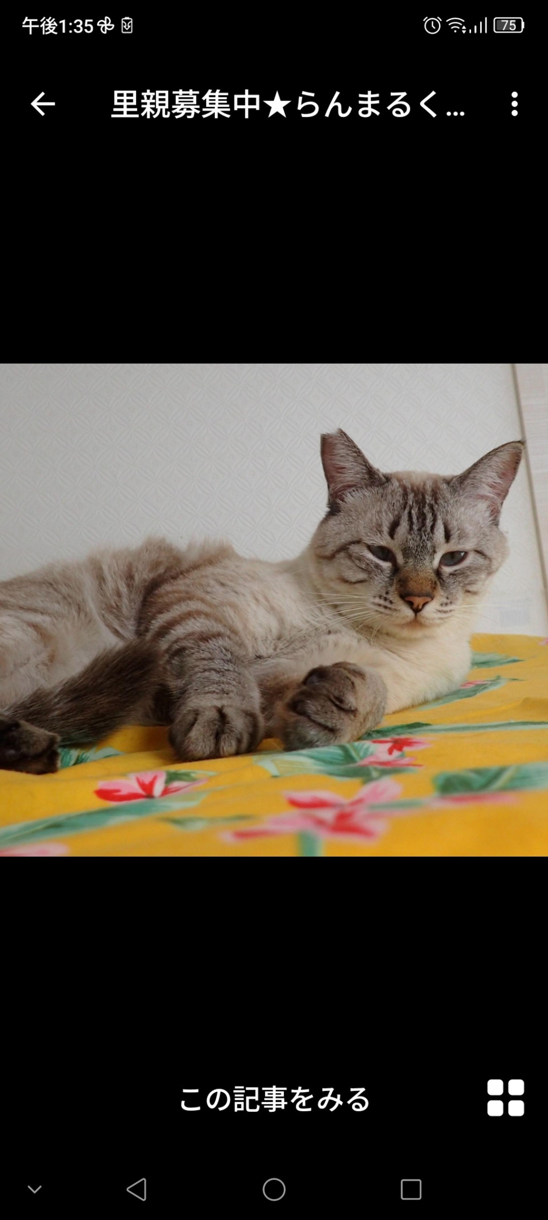 pet-image-3