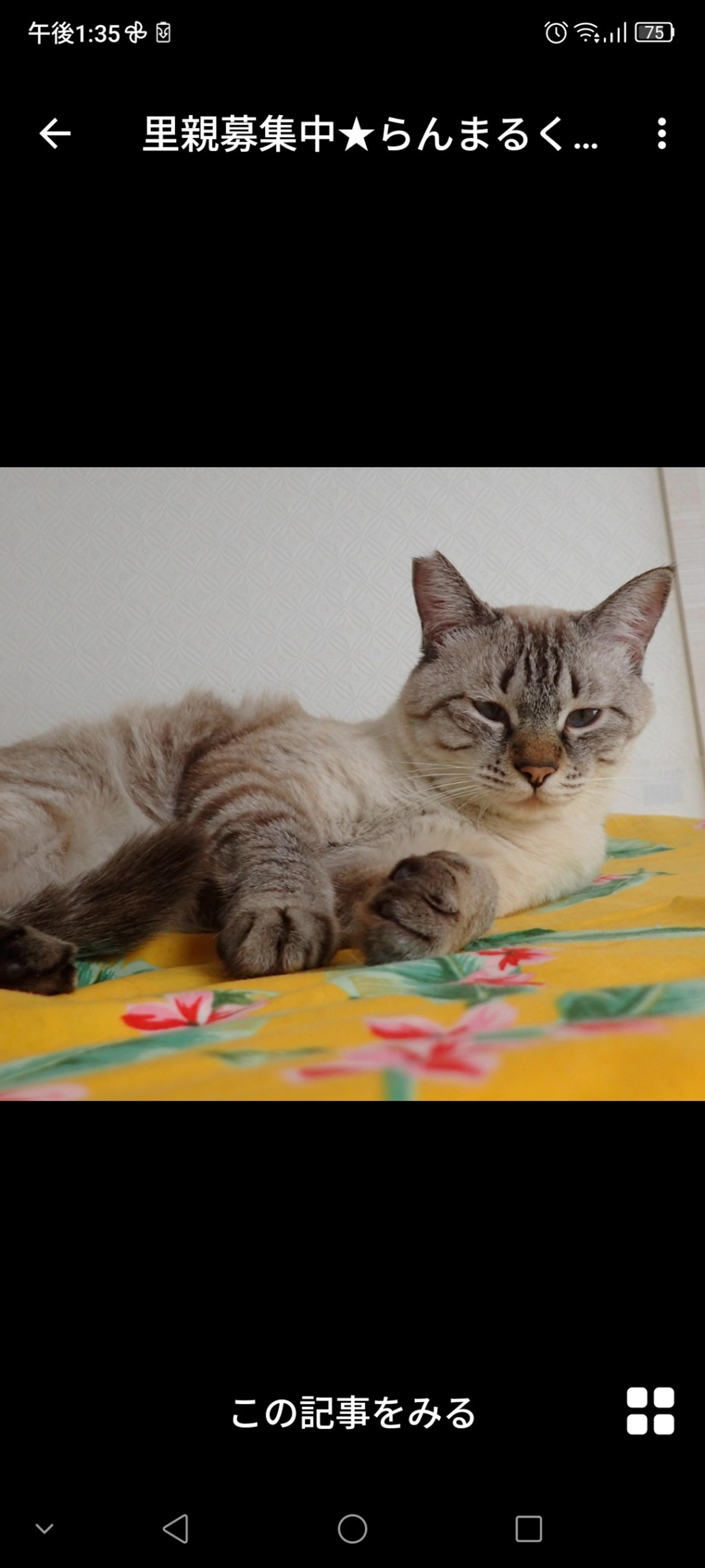 pet-image-3