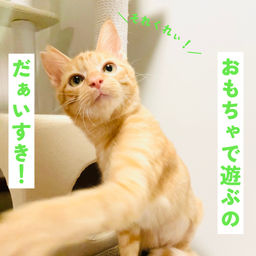 thumb-7
