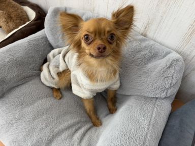 ニューデリー