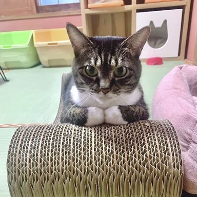 くあ