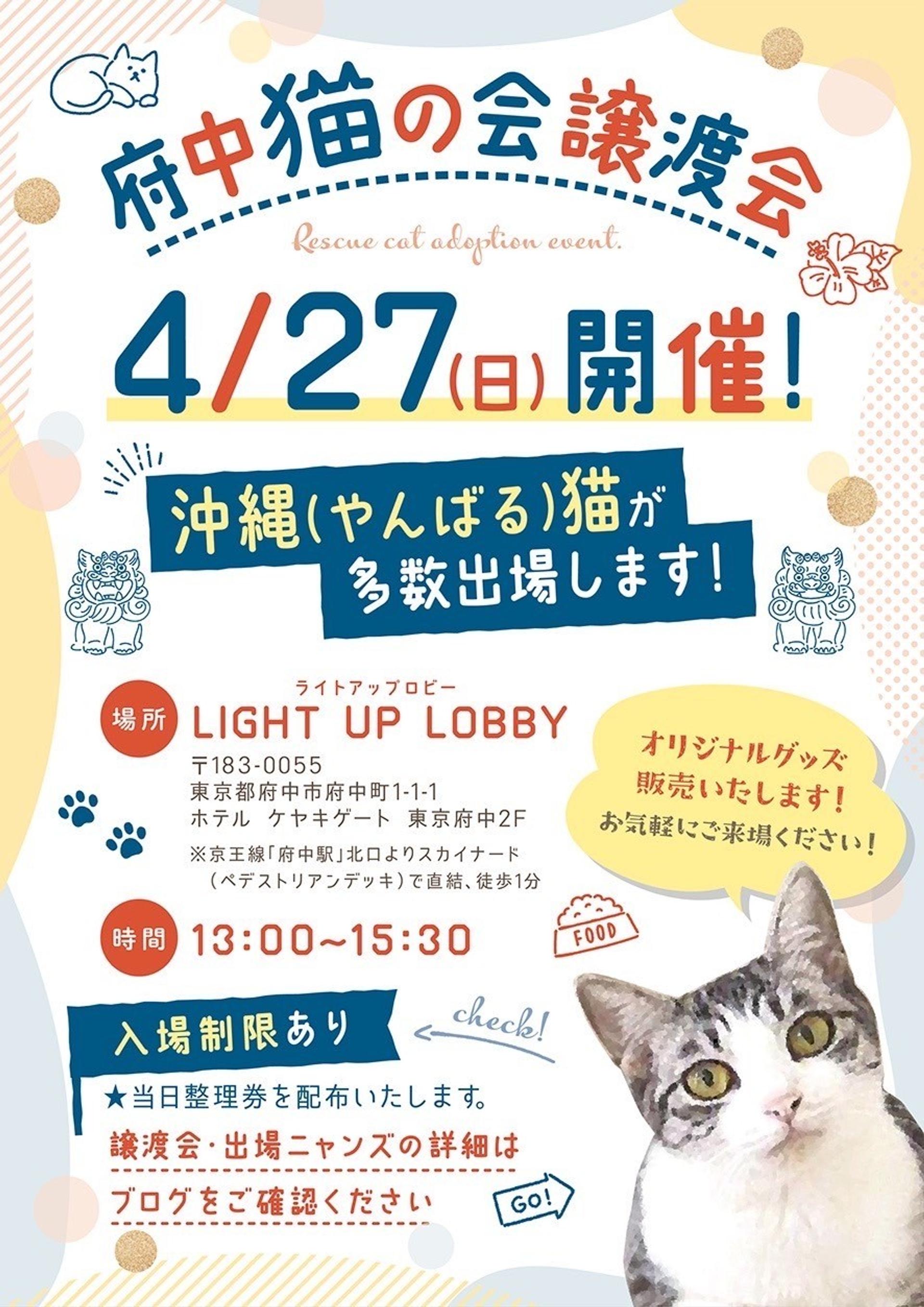 pet-image-5