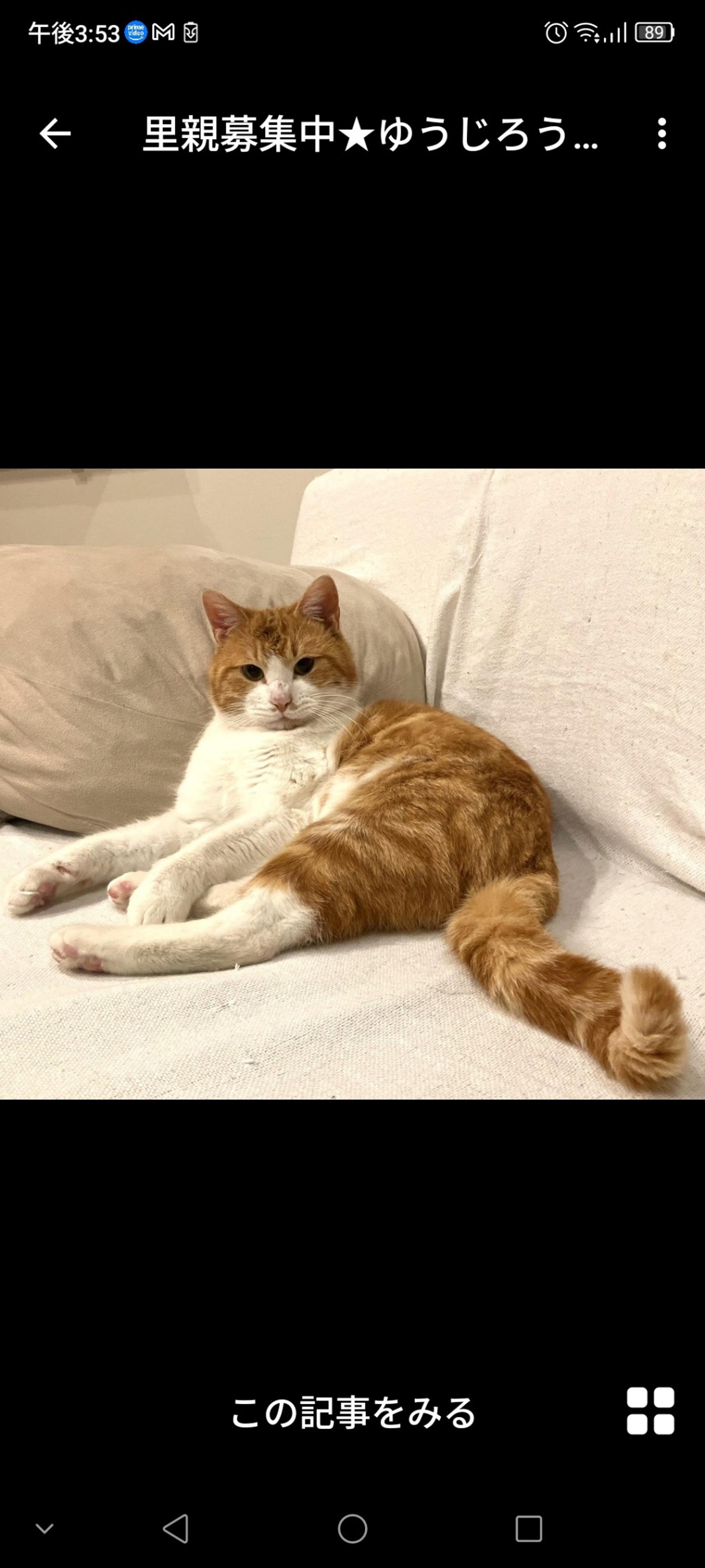 pet-image-2