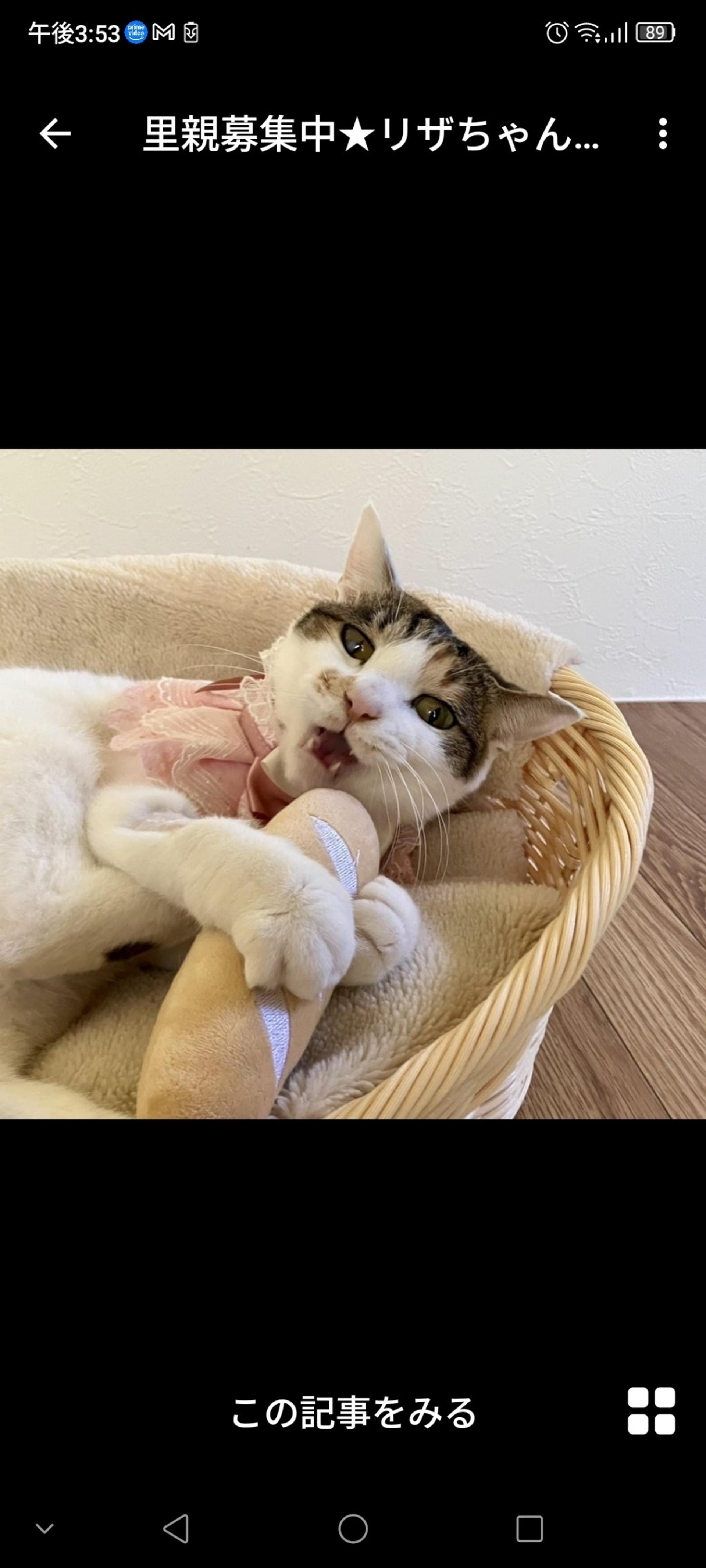 pet-image-2
