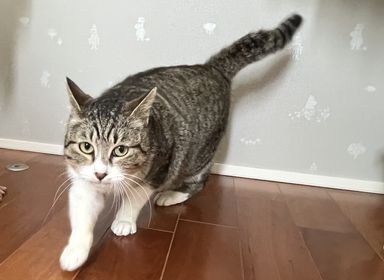 みーちゃん