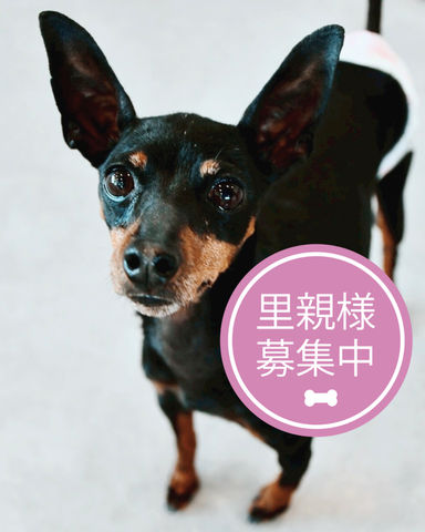 一蘭
