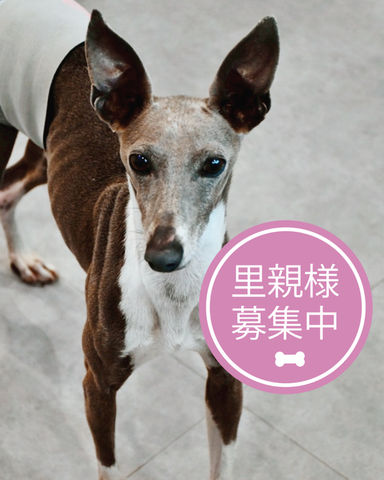 一風堂