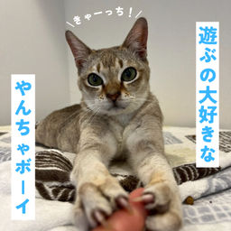 thumb-2