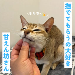 thumb-2