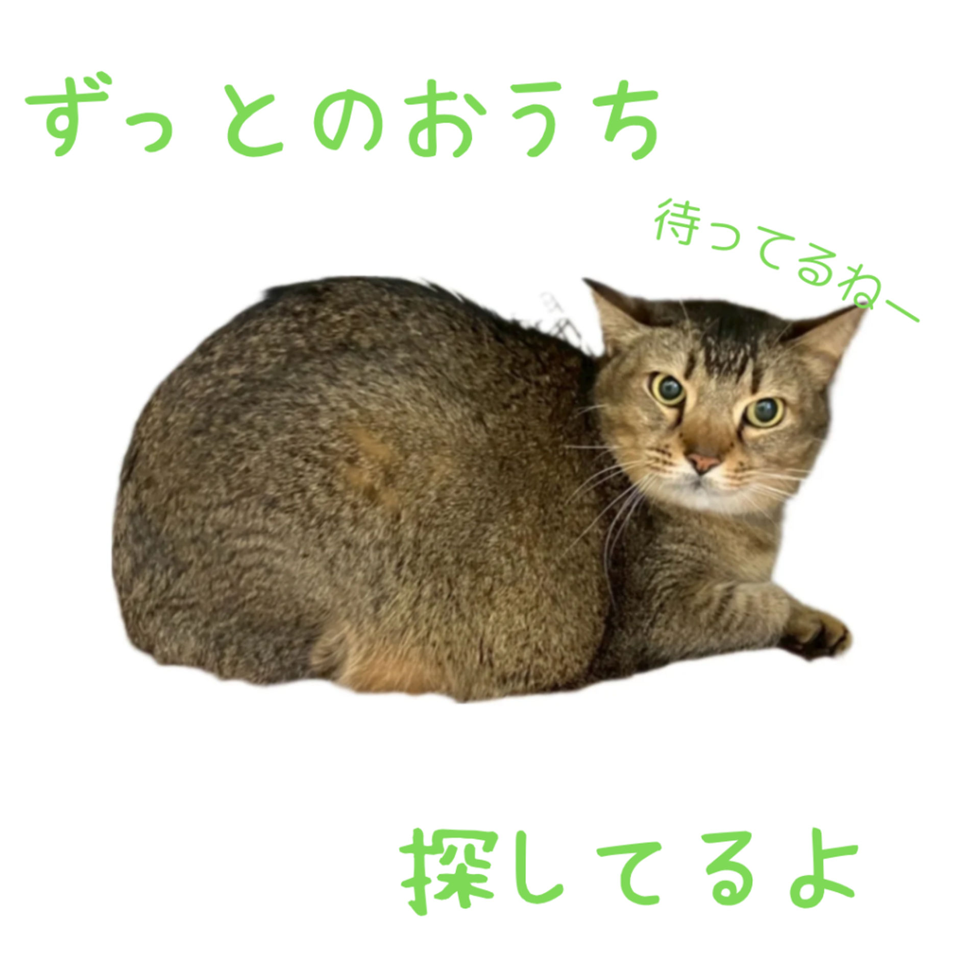 thumbnail-4