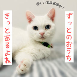 thumb-1