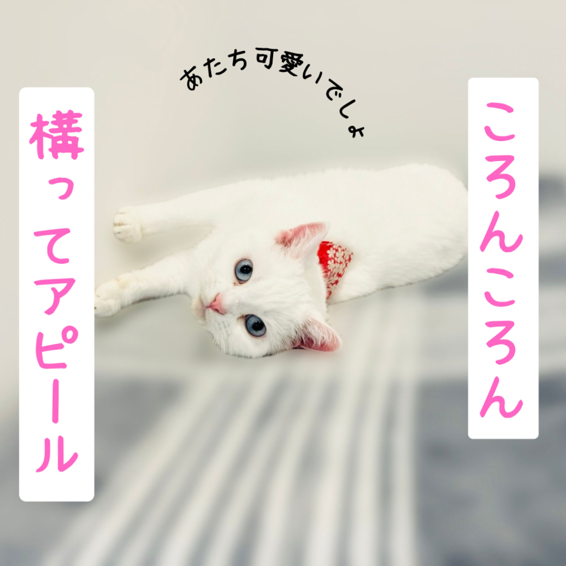 thumbnail-3