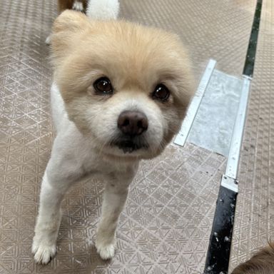 ソーダ