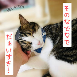 thumb-3