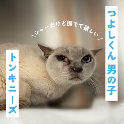 thumb-1