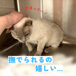 thumb-5