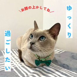 thumb-5