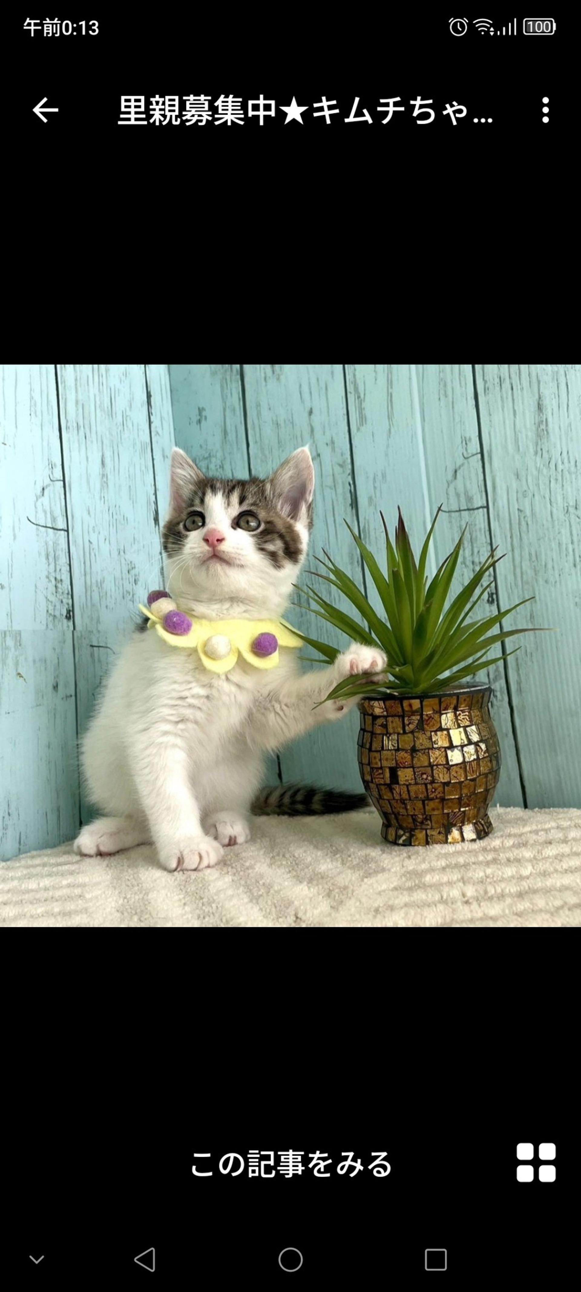 pet-image-3