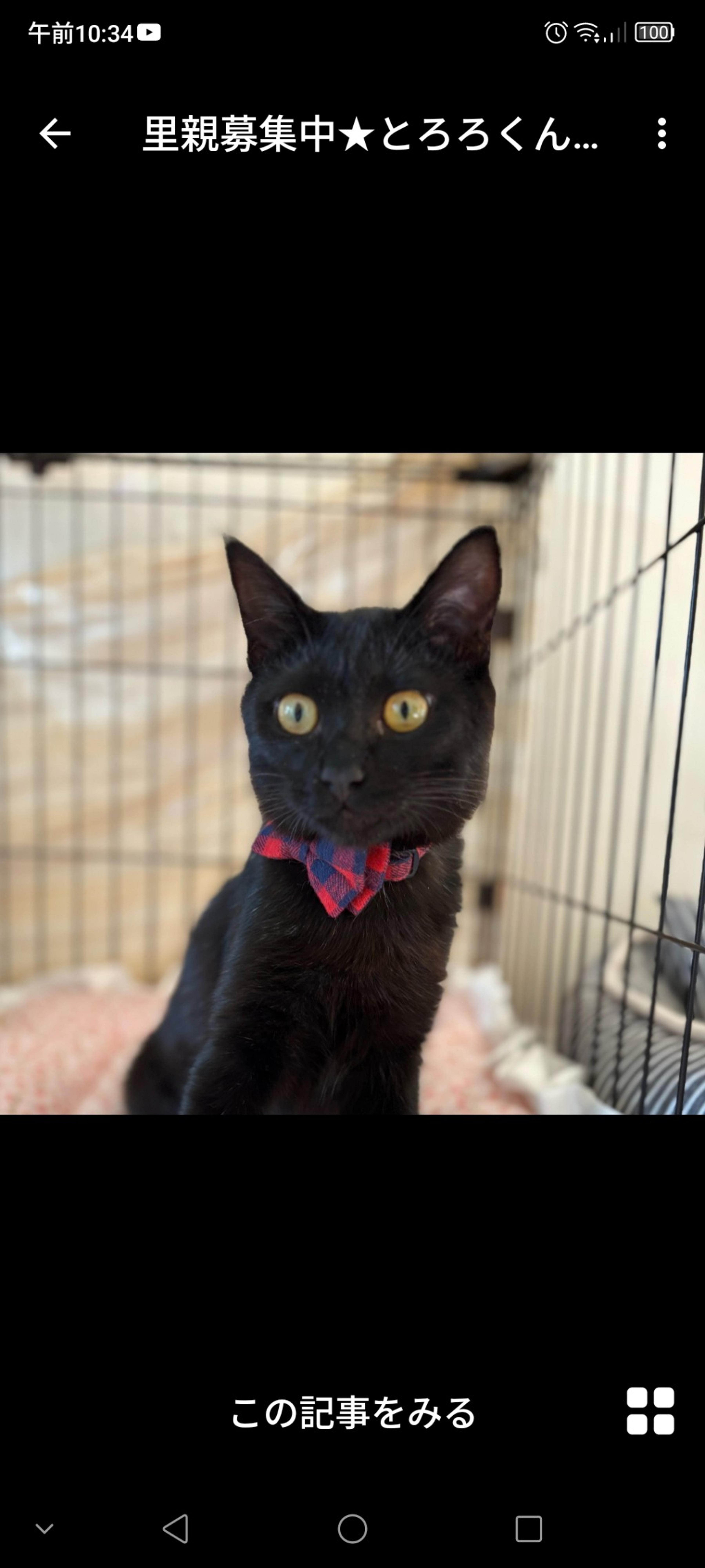 pet-image-3