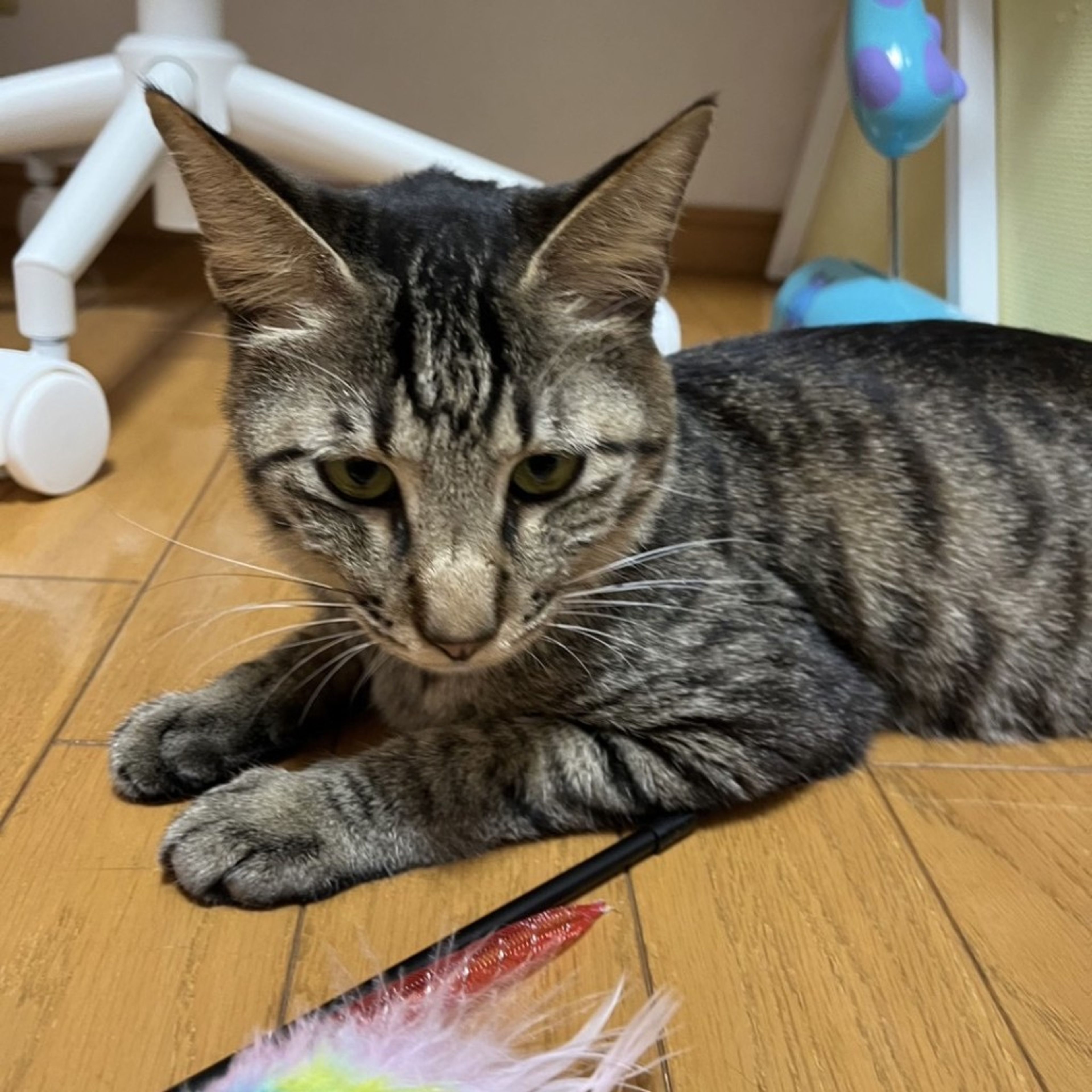 image-8