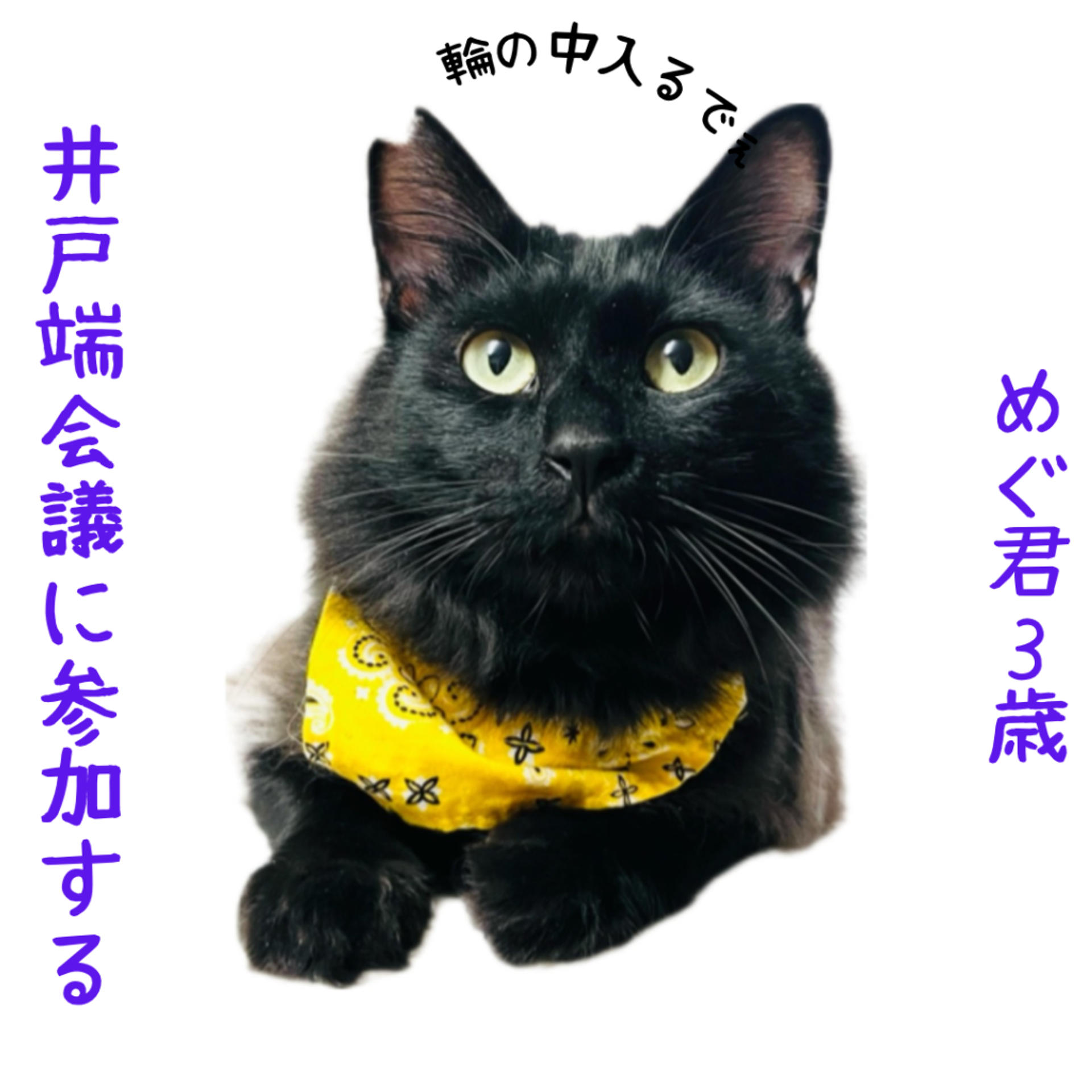 pet-image-5
