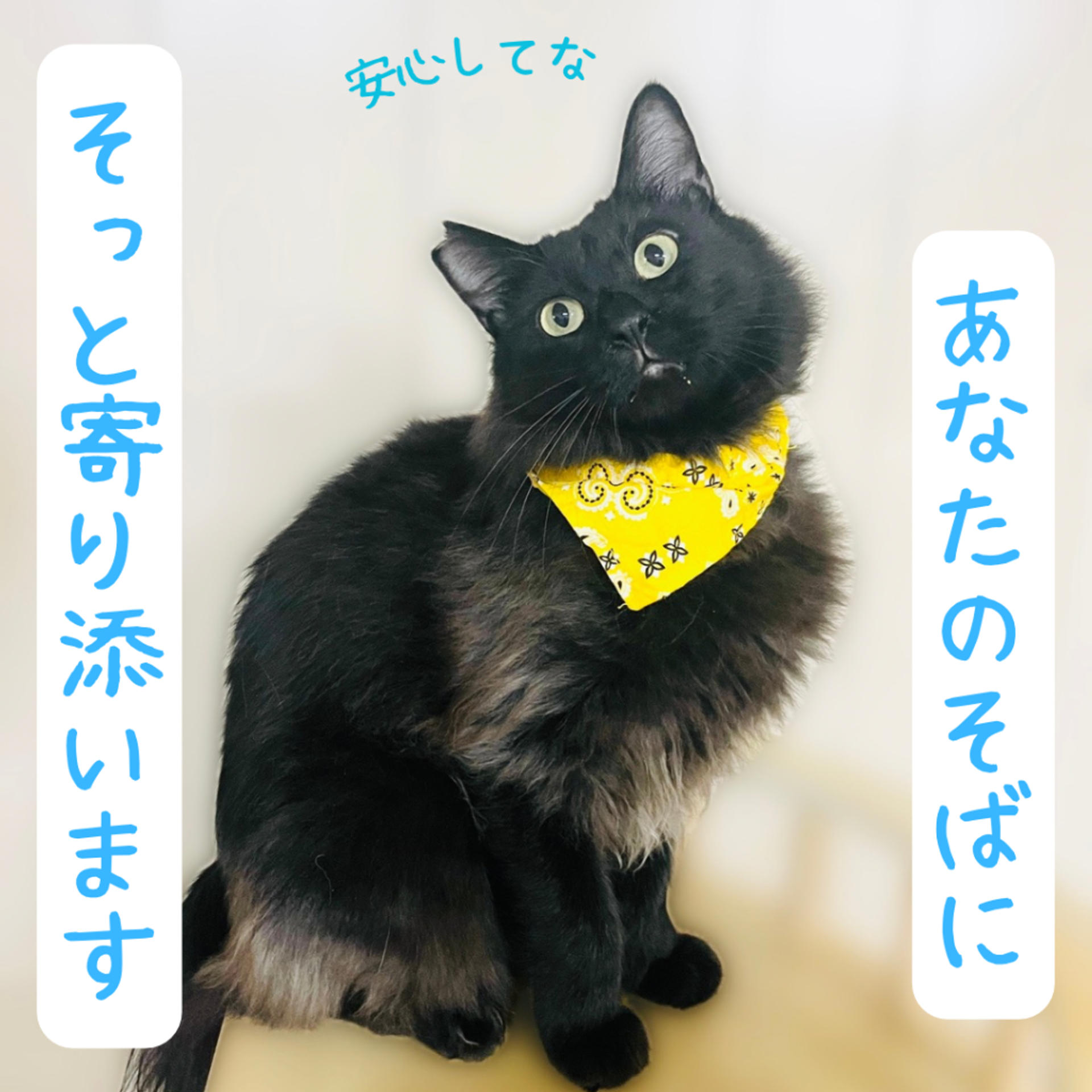 pet-image-3