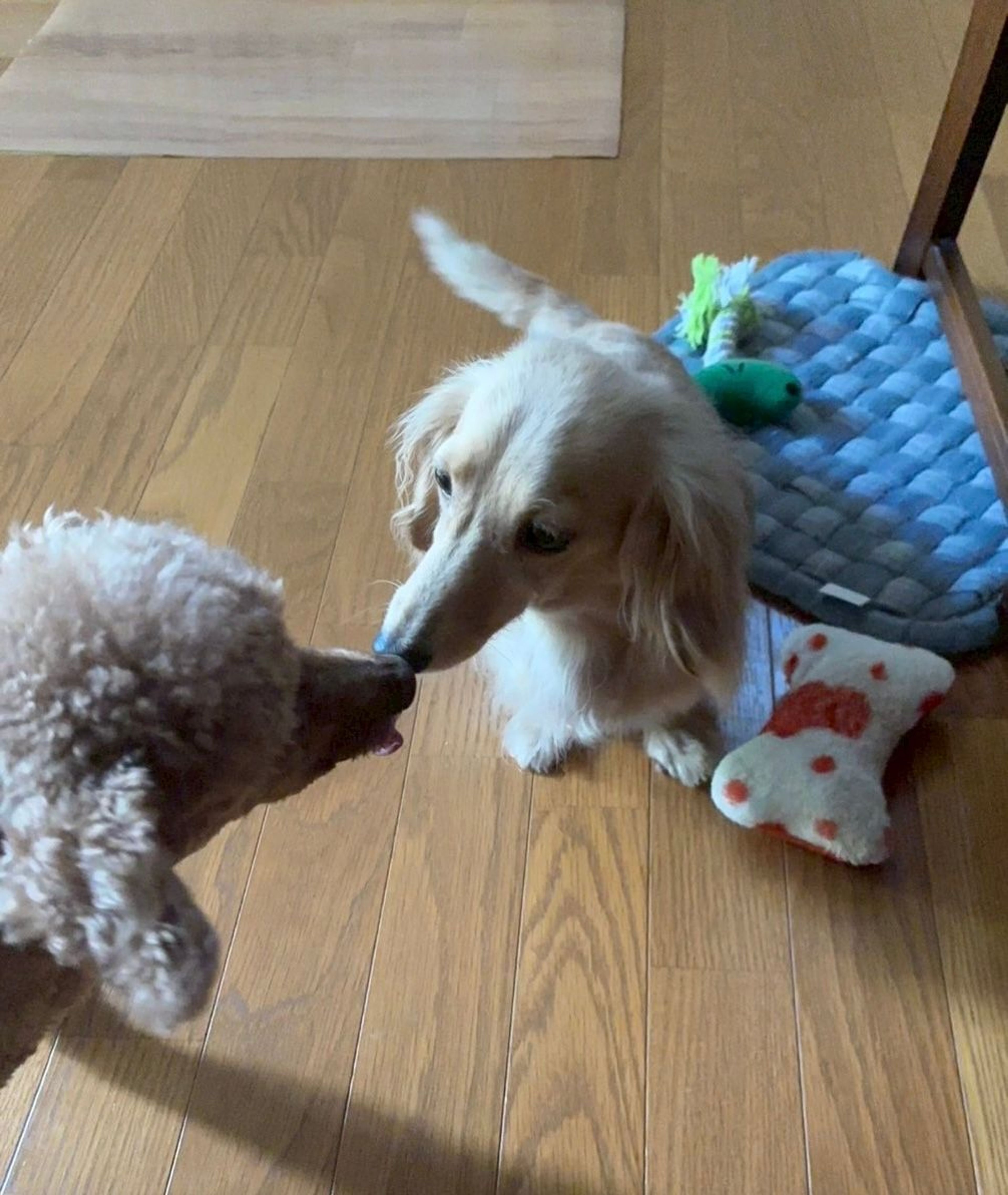image-4