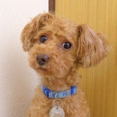 ヴィッツちゃん