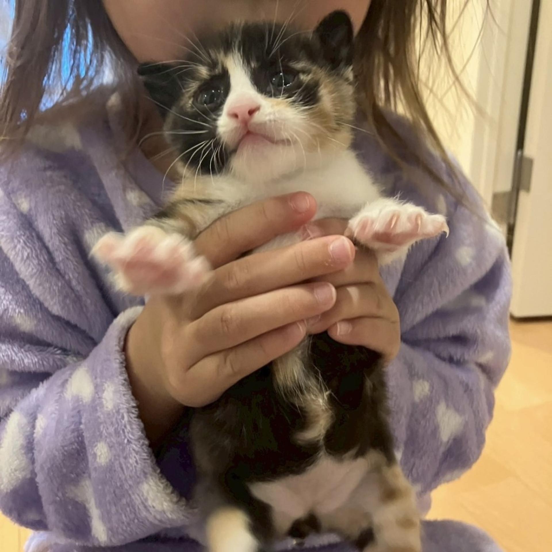 pet-image-6