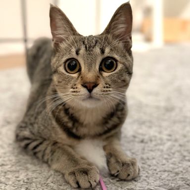 ふゆ