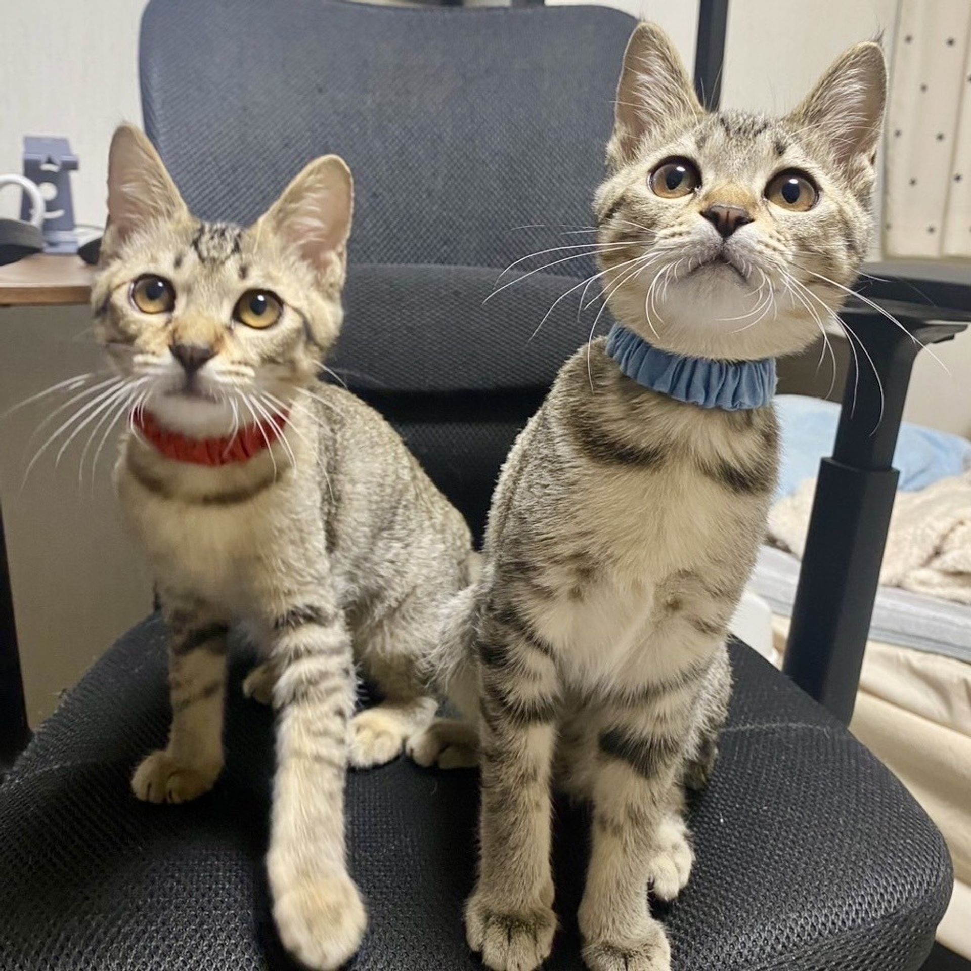 thumbnail-9