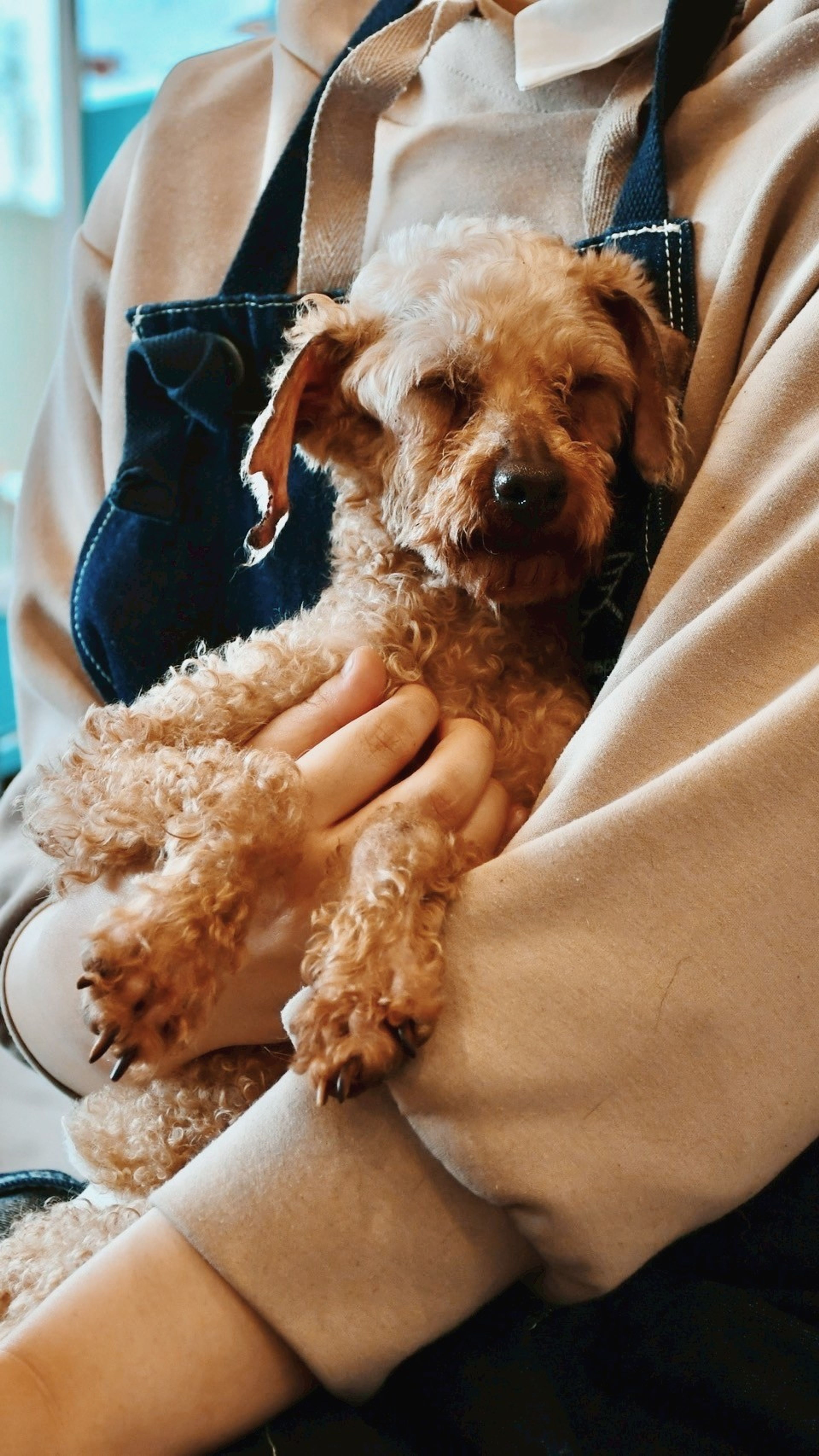 image-4