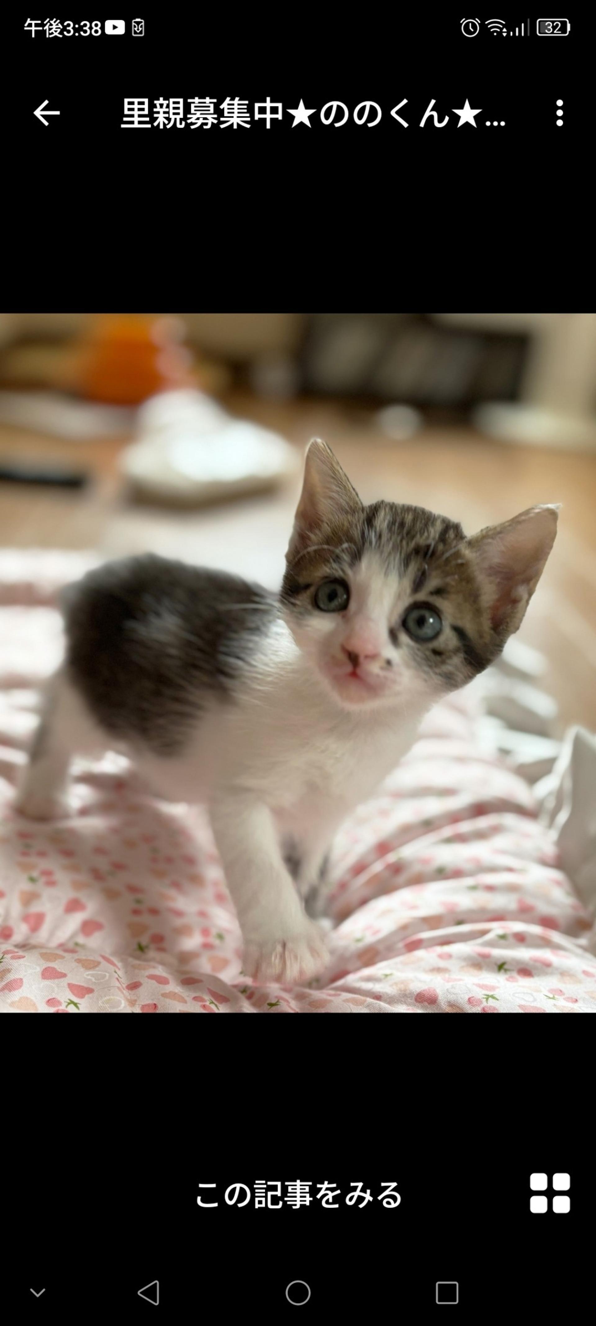 pet-image-2