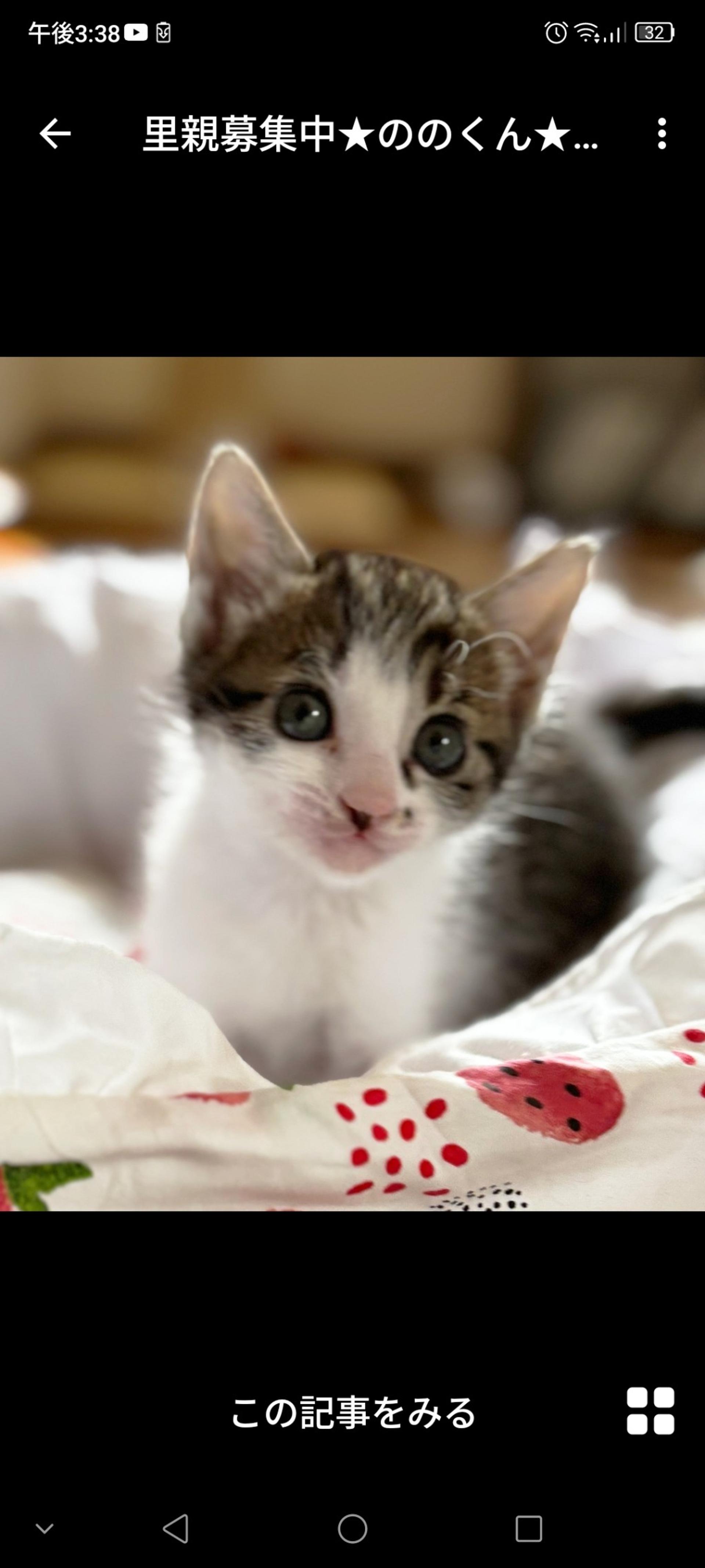 pet-image-3